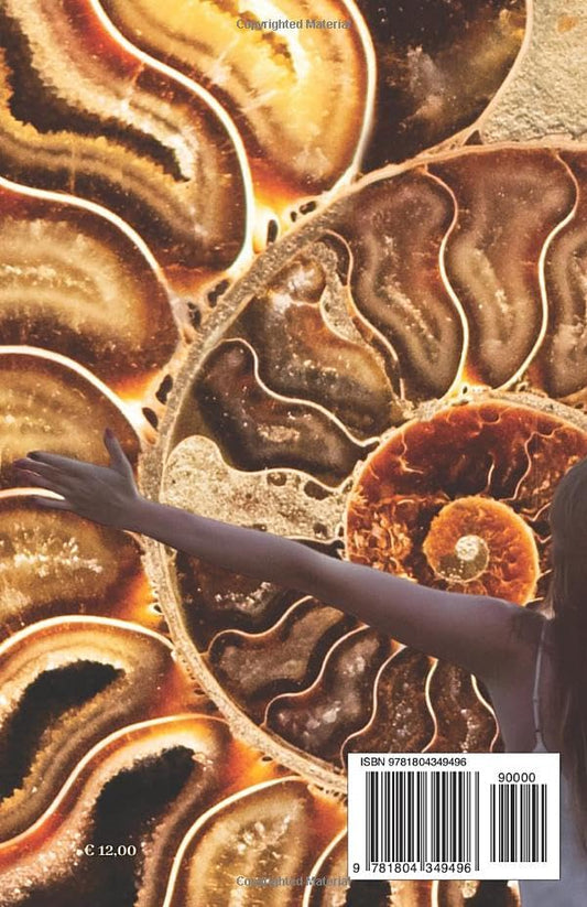 La valle delle rune: OI - Aurea Nox