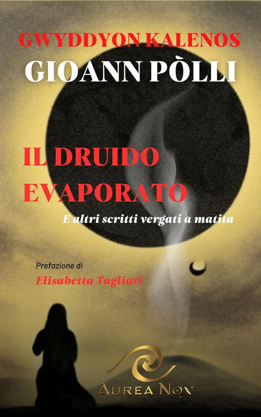 Il druido evaporato: E altri scritti vergati a matita - Aurea Nox